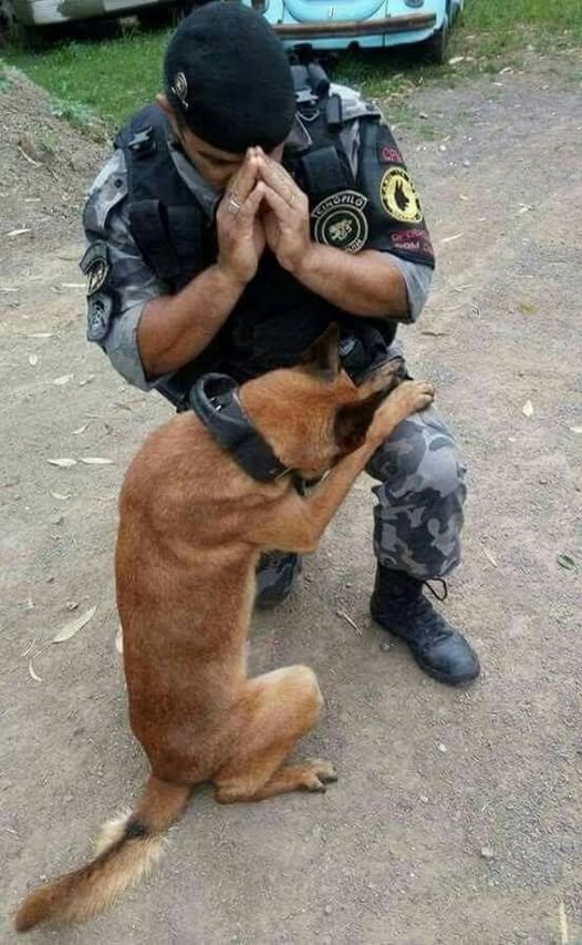 A STRANGER SNAPPED A PHOTO OF ME PRAYING WITH MY DOG—NOW THE WORLD THINKS THEY KNOW MY STORY