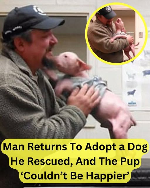 Man Returns To Adopt a Dog He Rescued, And The Pup ‘Couldn’t Be Happier’