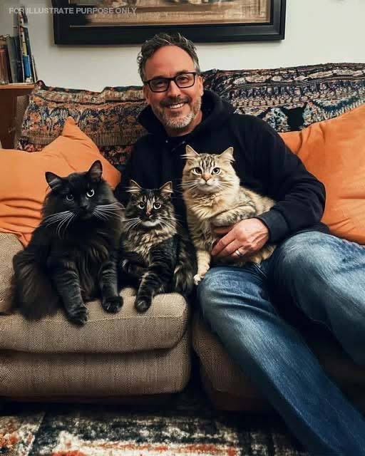 MY WIFE GAVE AWAY MY CATS!