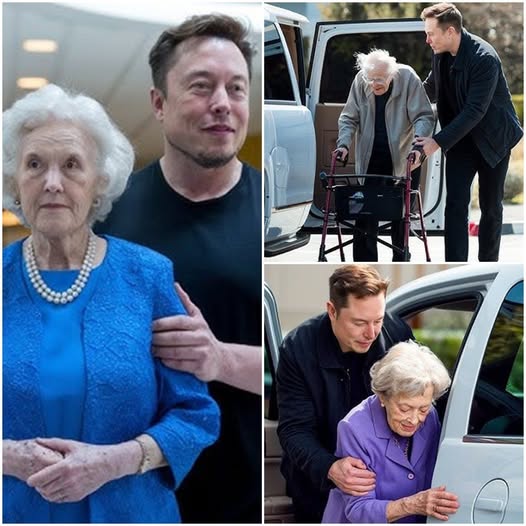 “OUTRAGEOUS: BANK STAFF KICKS ELDERLY WOMAN OUT—THEN ELON MUSK WALKS IN AND DOES THE UNTHINKABLE!