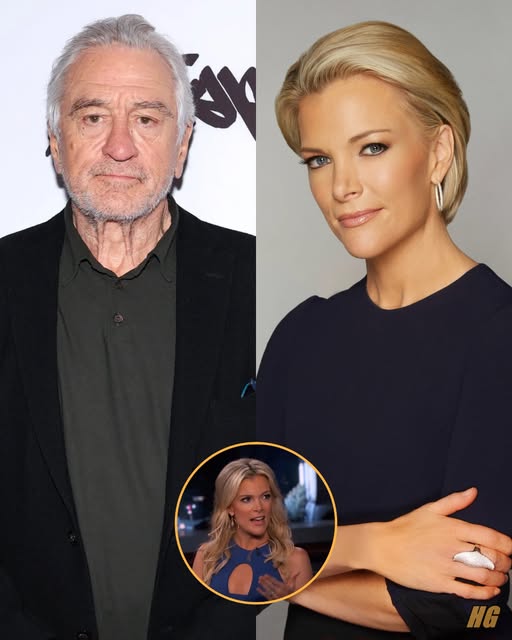 Robert De Niro’s Statement Stuns the Entire Studio with Shocking 8-Words after Megyn Kelly bluntly called him ‘Extremely stupid’ on television!