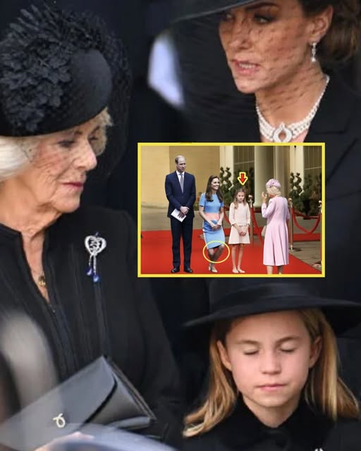 PALACE IN CHAOS! Charlotte REFUSES To Curtsy To Step-grandmother Camilla At Royal Concert, Queen’s Response Sh0cks All