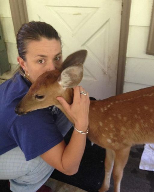 A DEER SHOWED UP AT OUR CLINIC DOOR—BUT WHAT WE FOUND TIED TO ITS LEG CHANGED EVERYTHING