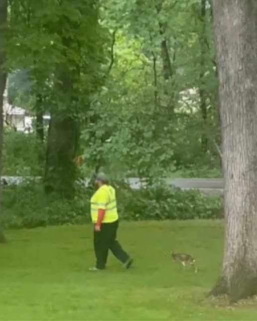 Watch As This Kind Man Reunites A Crying Little Fawn With Its Mother