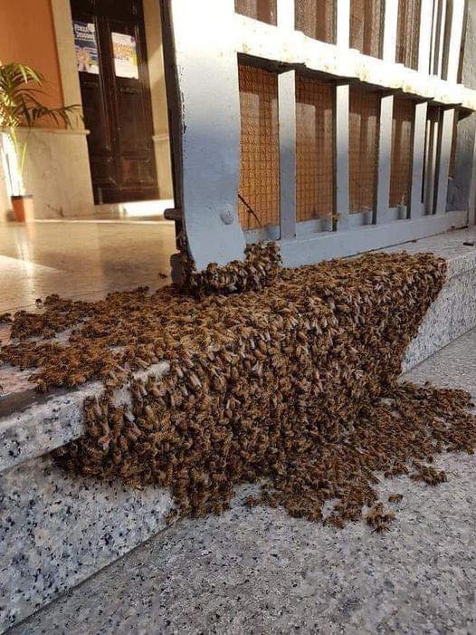 When you see something like this, don’t be afraid, don’t call the firefighters or the police, just don’t move, Check first comment what is that and why …