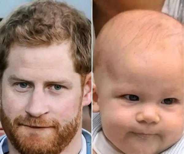 Meghan Is Not Fake Pregnancy, Prince Harry Proudly Declared, “My Son Archie Will Become the Next Klng.”