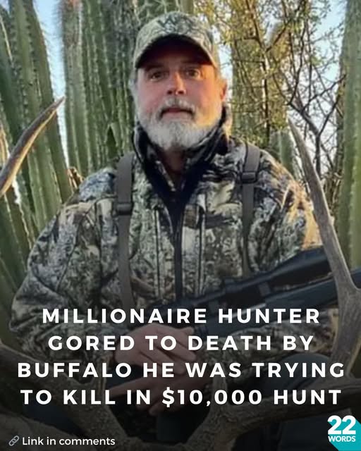 Millionaire Hunter Gored To Death By Buffalo He Was Trying To Kill In $10,000 Hunt