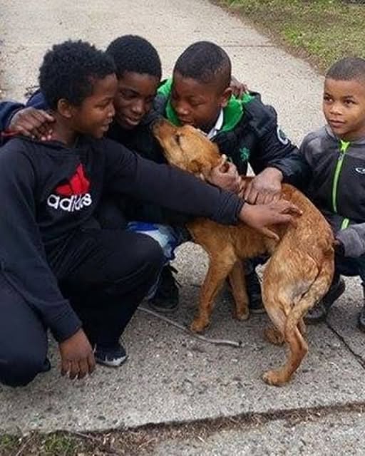 Four Boys, One Dog, Endless Courage…