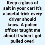 Put a Glass of Salt in Your Car