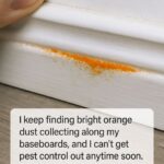 What’s Causing the Orange Dust in Your Home?