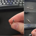 What’s the Right Name for This? Let’s Find Out