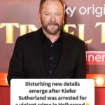 Disturbing details surface after Kiefer Sutherland is taken into custody for a violent crime in Hollywood