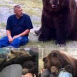 “Jimmy the Bear — A Kind-Hearted Giant Who Loves Everyone”